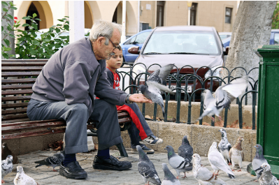 Картинка продукта